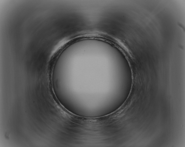 X0000092321456200709141042
