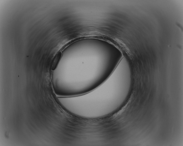 X0000092321457200709141042