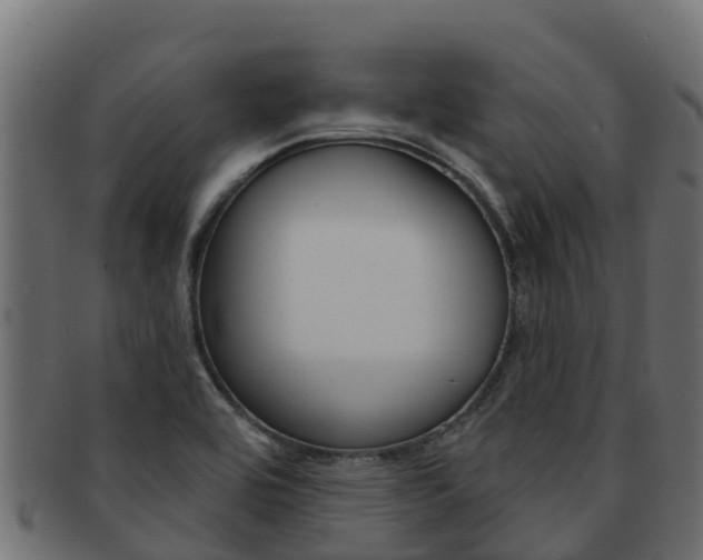 X0000092321464200709141041