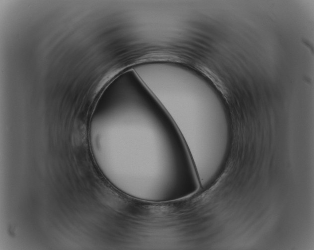 X0000092321465200709141041