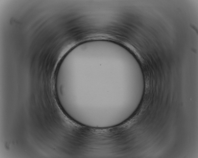 X0000092321466200709141041