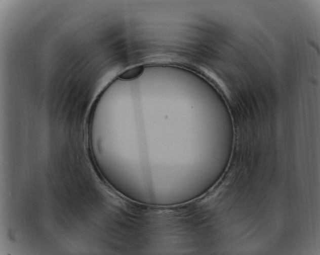 X0000092321467200709141041