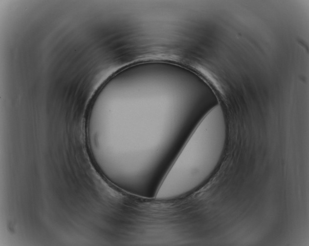 X0000092321468200709141041