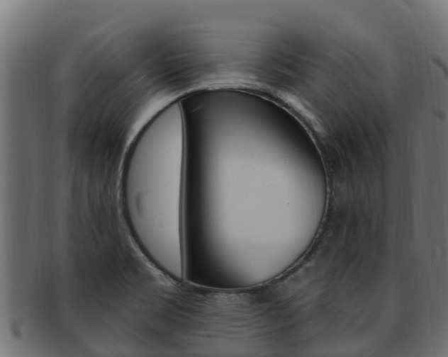 X0000092321469200709141041