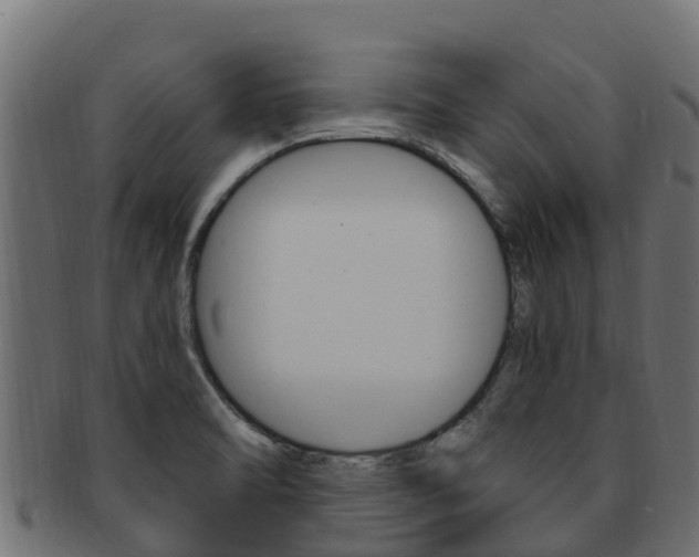 X0000092321470200709141041