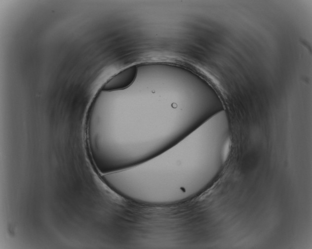X0000092321471200709141041