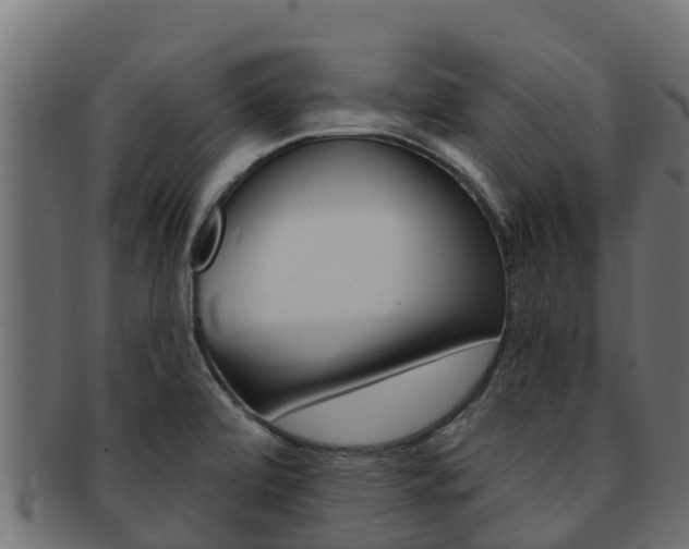 X0000092321472200709141041