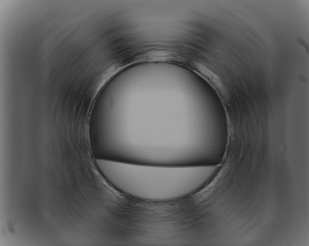 X0000092321473200709141041
