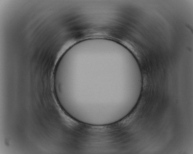 X0000092321474200709141041