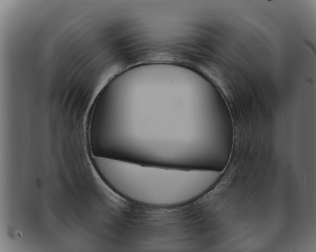 X0000092321475200709141041