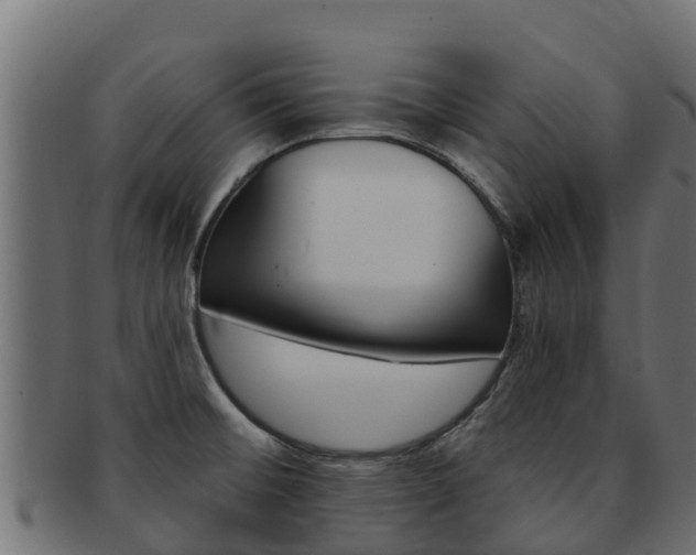 X0000092321476200709141041