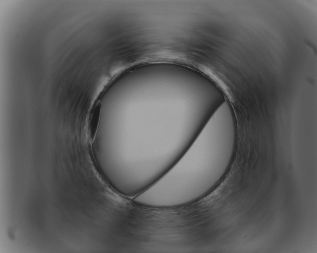 X0000092321477200709141041