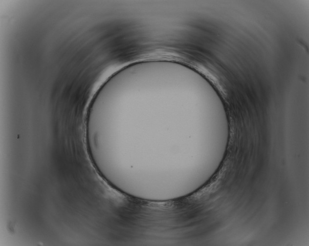 X0000092321478200709141041