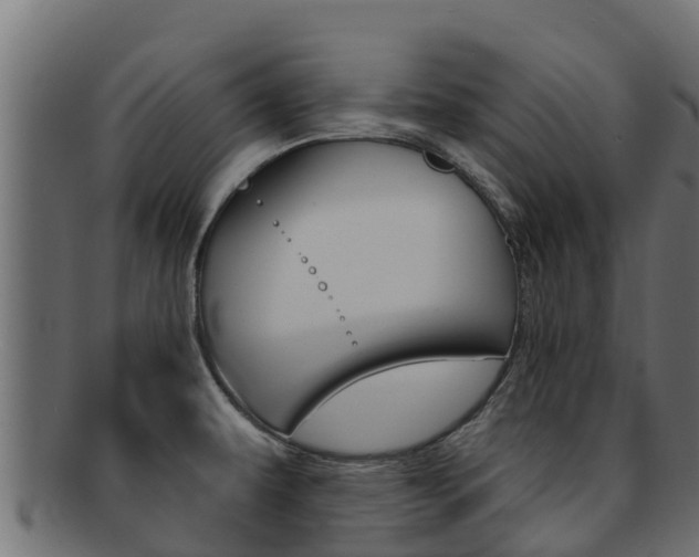 X0000092321479200709141041