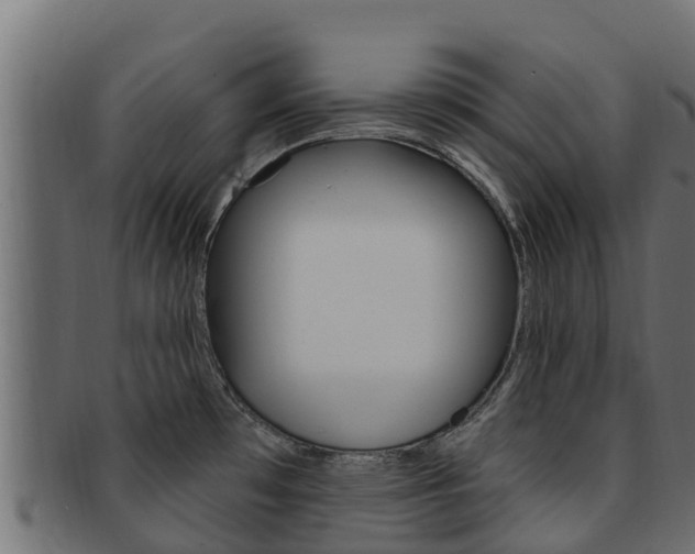 X0000092321481200709141041