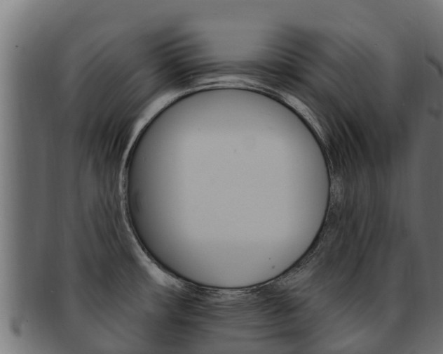 X0000092321482200709141041