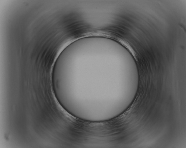 X0000092321483200709141041