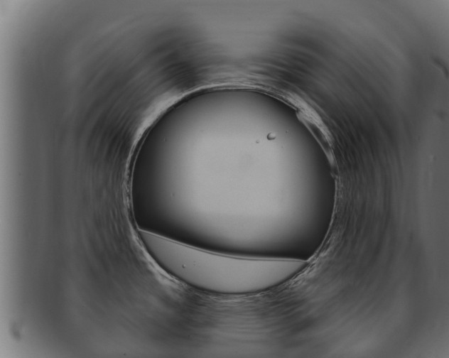 X0000092321485200709141041