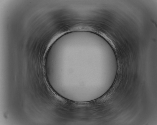 X0000092321486200709141041