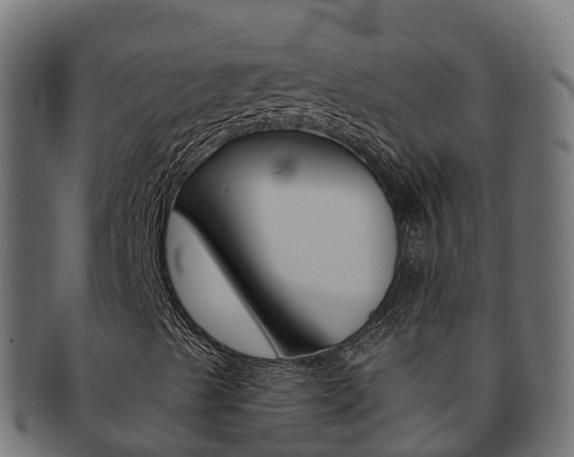 X0000092321489200709141041