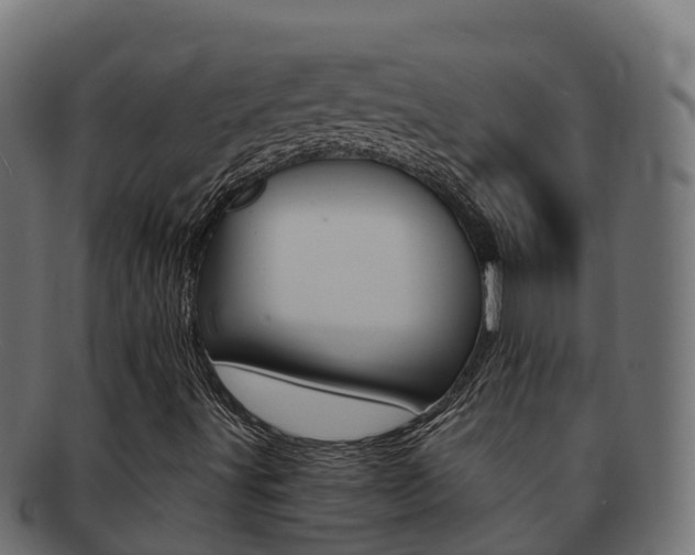 X0000092321491200709141041