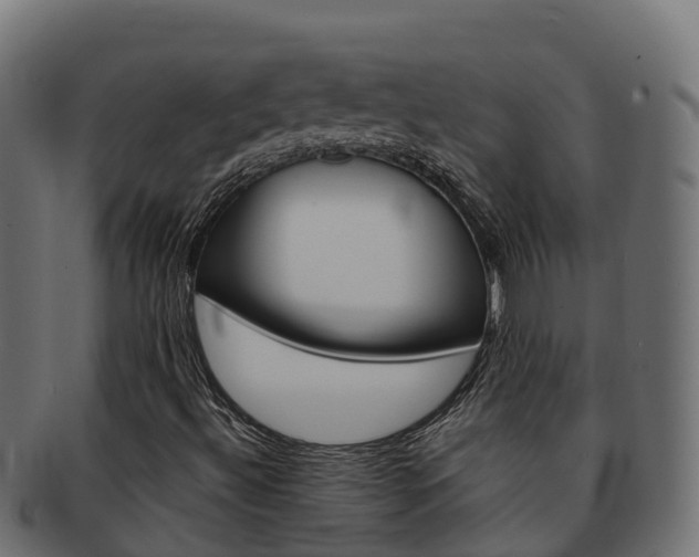 X0000092321492200709141041