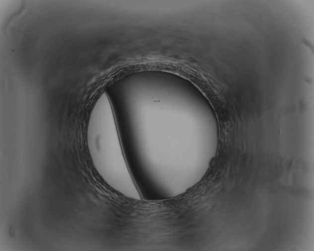 X0000092321493200709141041