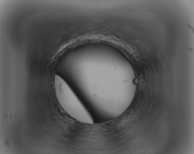 X0000092321494200709141041