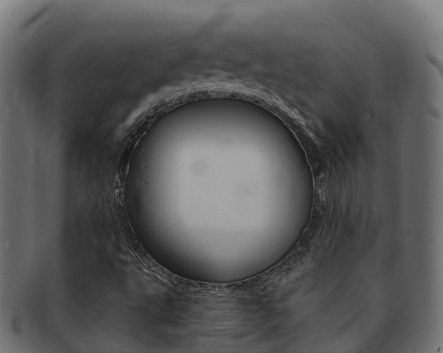 X0000092321495200709141041
