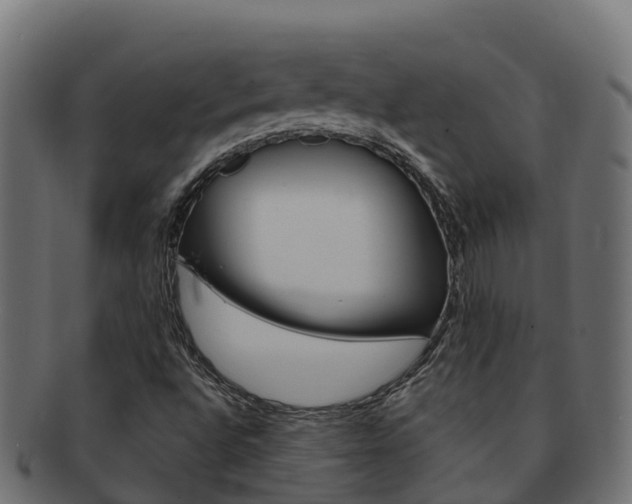 X0000092321496200709141041