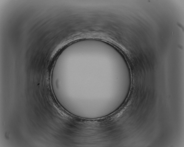 X0000092321498200709141041