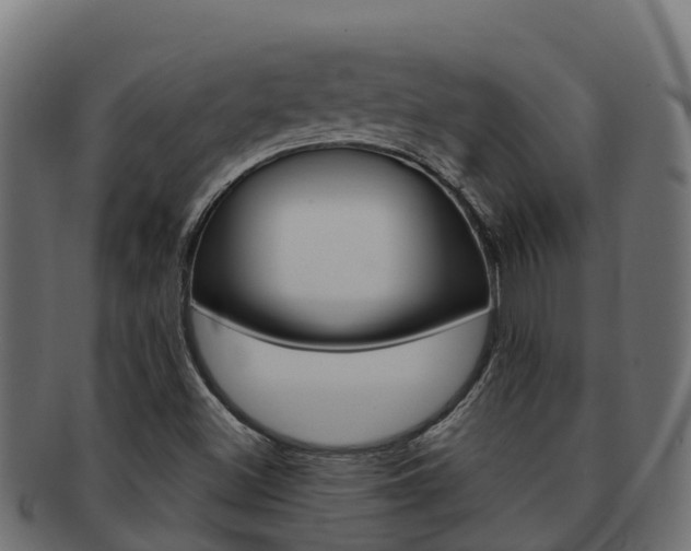 X0000092321500200709141041