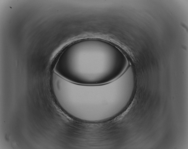 X0000092321502200709141041