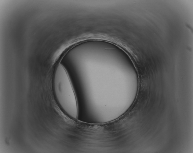 X0000092321503200709141041