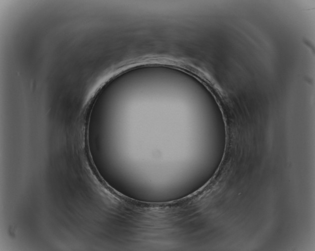X0000092321504200709141041