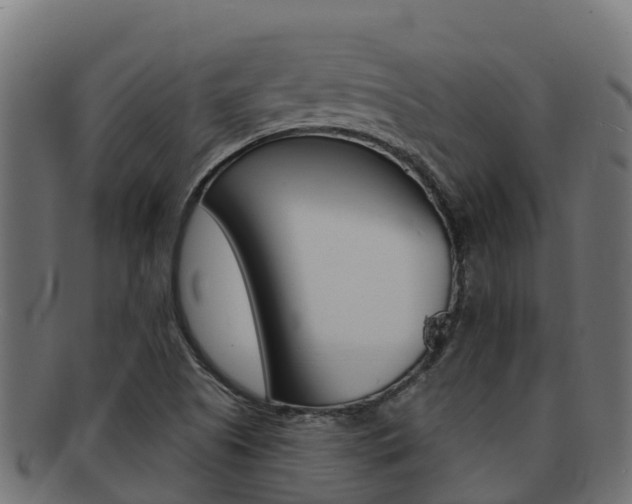 X0000092321505200709141041