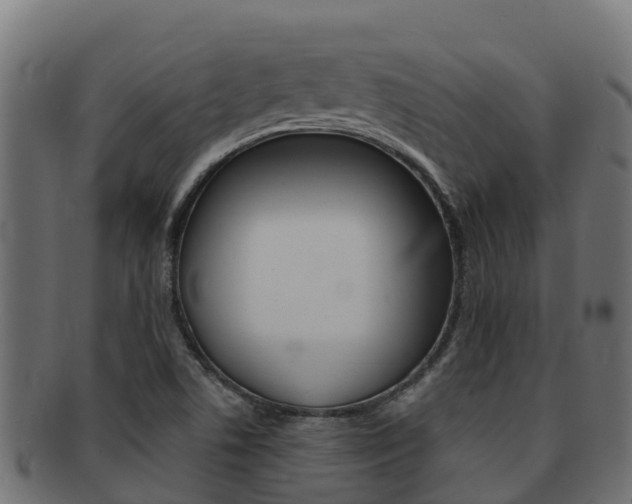 X0000092321506200709141041