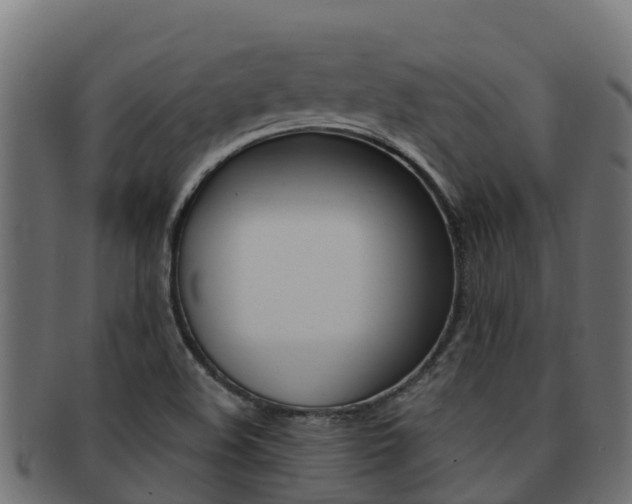 X0000092321508200709141041