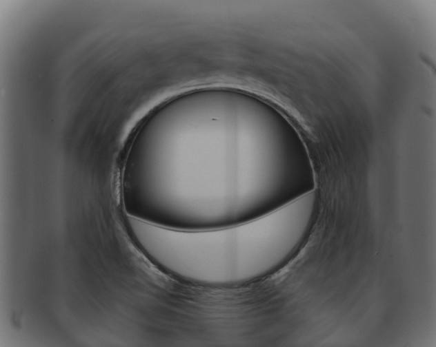 X0000092321510200709141041