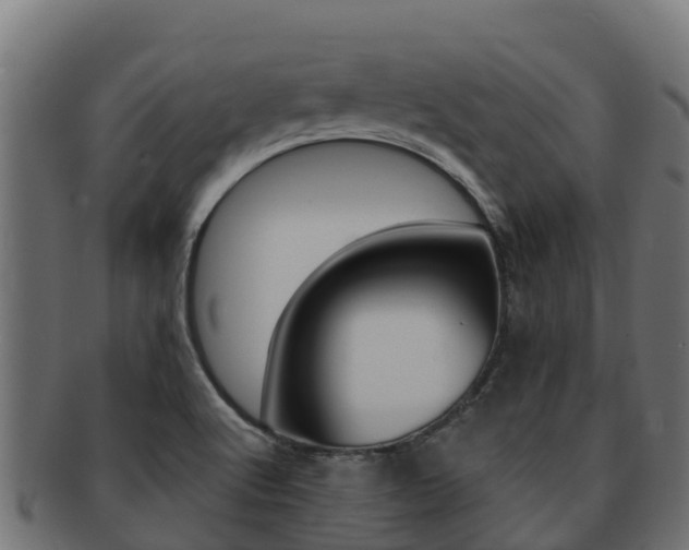 X0000092321512200709141041