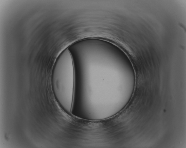 X0000092321513200709141041