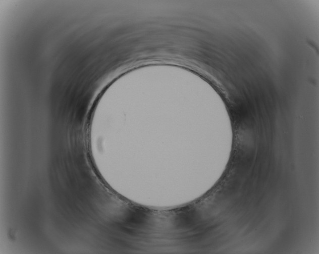 X0000092321514200709141041