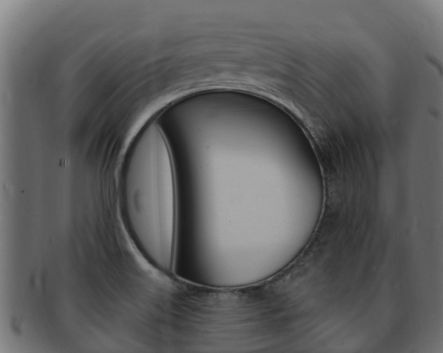 X0000092321515200709141041