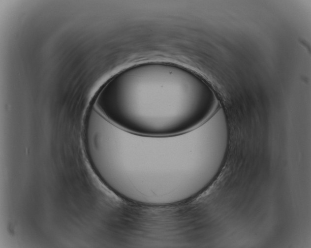 X0000092321518200709141041