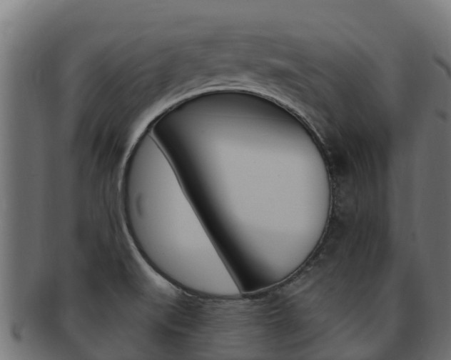 X0000092321519200709141041