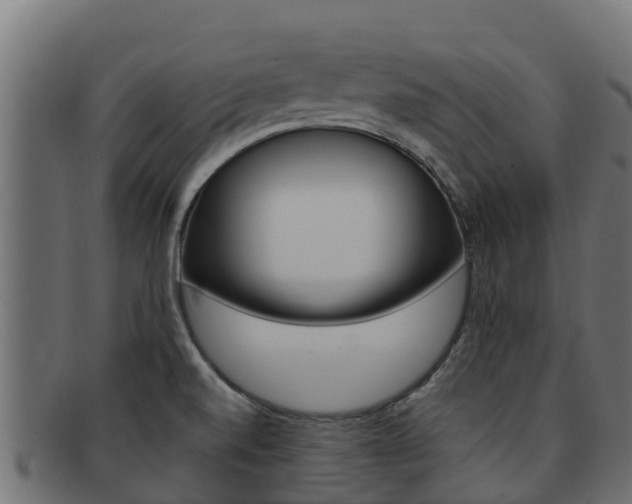 X0000092321520200709141041