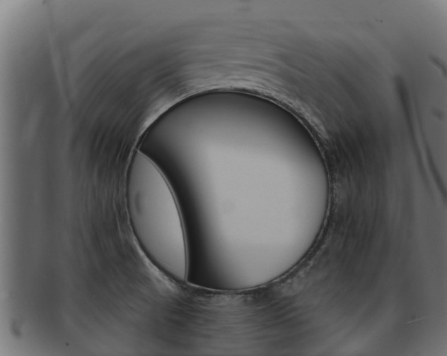 X0000092321521200709141041