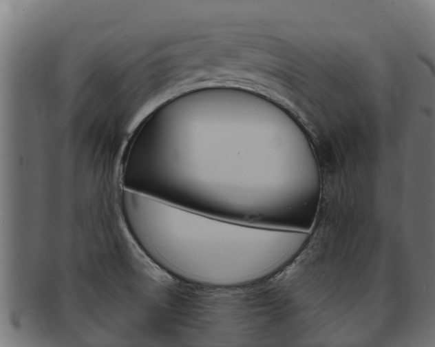 X0000092321522200709141041