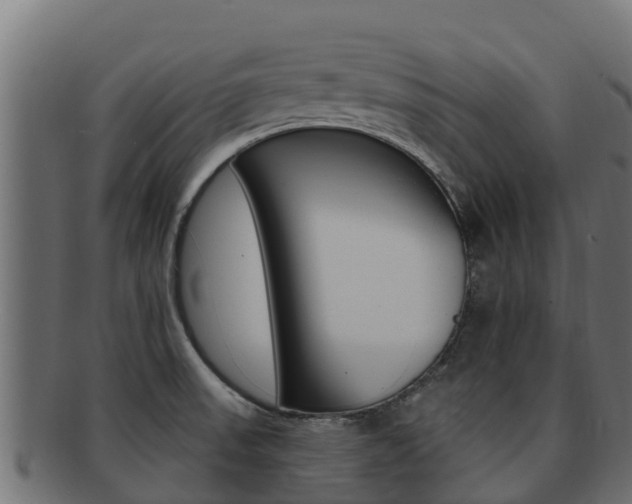 X0000092321523200709141041