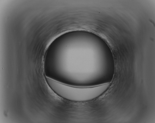 X0000092321524200709141041
